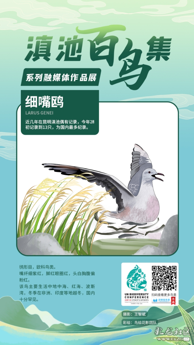 fhnjc289c1v fhnjc289c1v