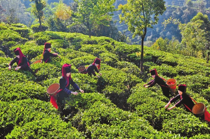 f1a889f8-4d0a-4839-9832-b93affe8b897.jpg f1a889f8-4d0a-4839-9832-b93affe8b897.jpg