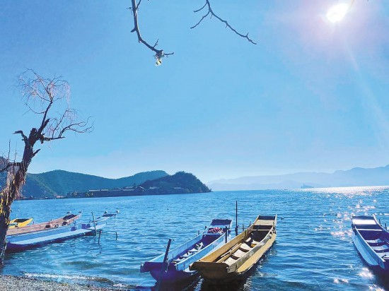 11578341263015150210 11578341263015150210