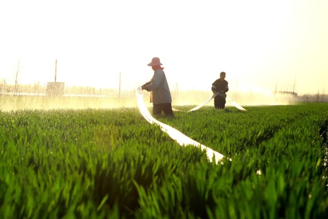 a_689978917817151488