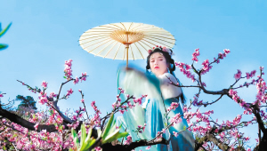 富民款莊鎮(zhèn)桃花美景。 張開亮攝