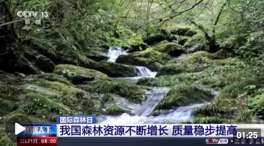 微信截圖_20220321151804