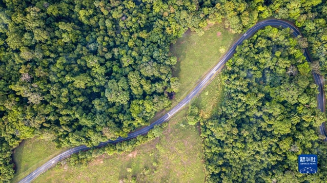 1128490714_16478741586051n 1128490714_16478741586051n