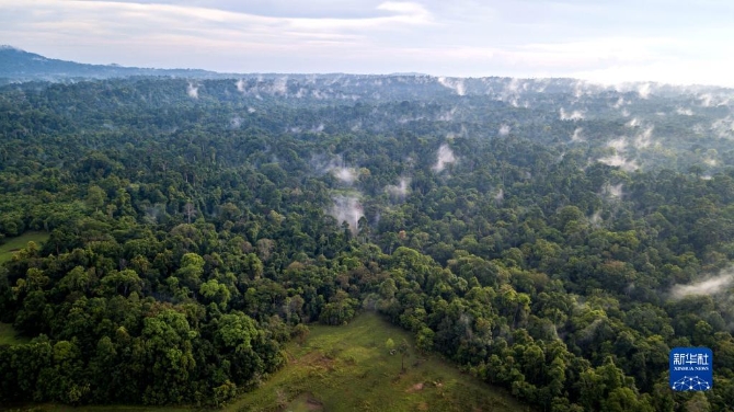 1128490714_16478741586771n 1128490714_16478741586771n