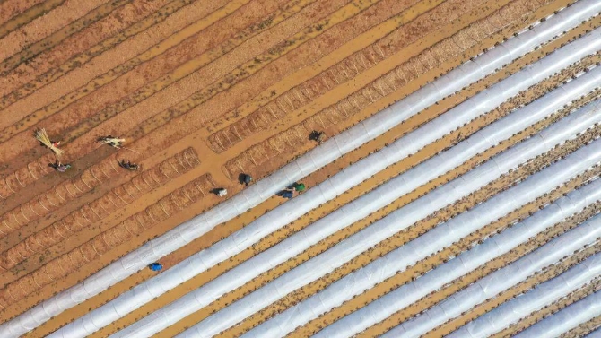 20220321103525985 20220321103525985