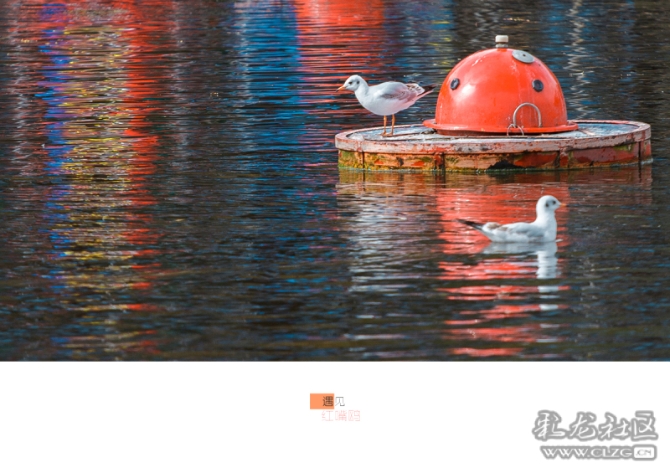 xst5viz1yp xst5viz1yp