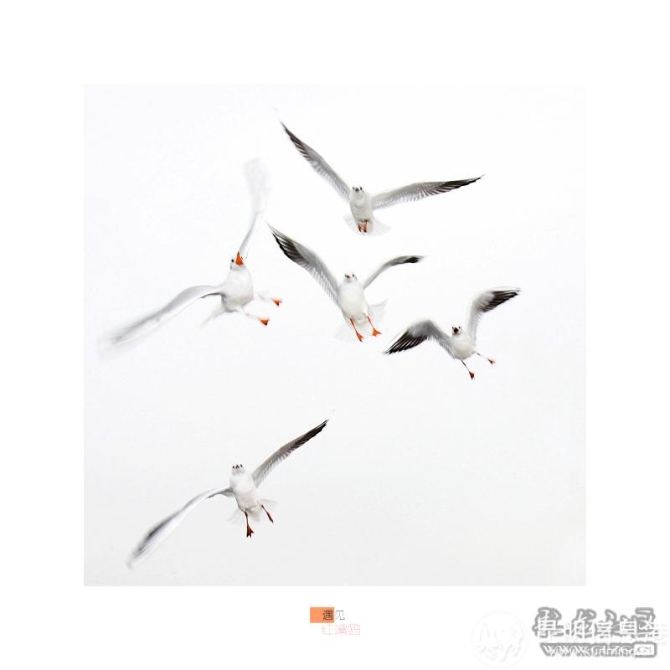 okeyncfc0mo okeyncfc0mo