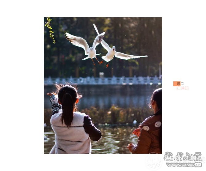 oitq6t0j55 oitq6t0j55