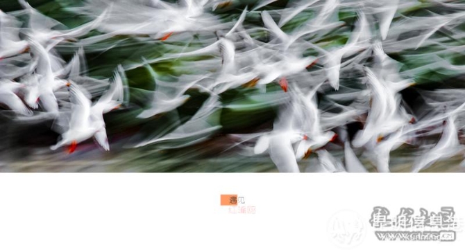 cwcyyffqkh5 cwcyyffqkh5