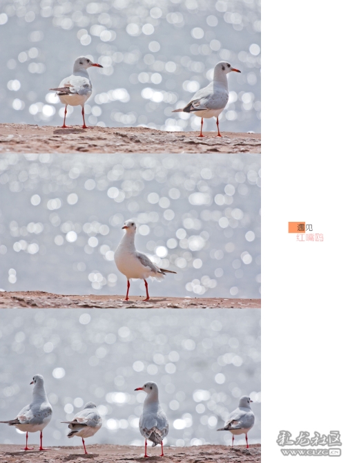 lidbe87xhfq lidbe87xhfq