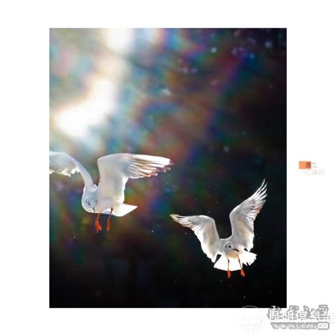 9i56ssbdruu 9i56ssbdruu