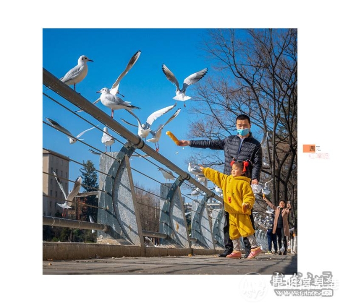 ho9qnz4v08 ho9qnz4v08