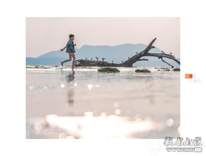 kn0n0gg6p89 kn0n0gg6p89