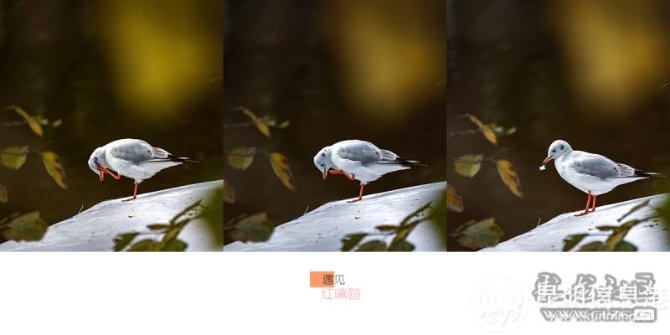 6xq5qdh5mfh 6xq5qdh5mfh