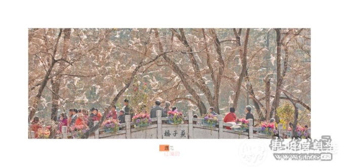 e0t1grevw6 e0t1grevw6