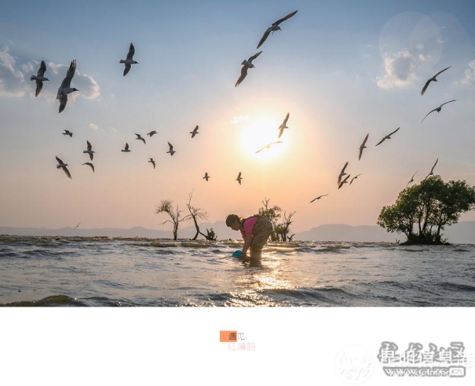 0y3kkr5nmpw 0y3kkr5nmpw