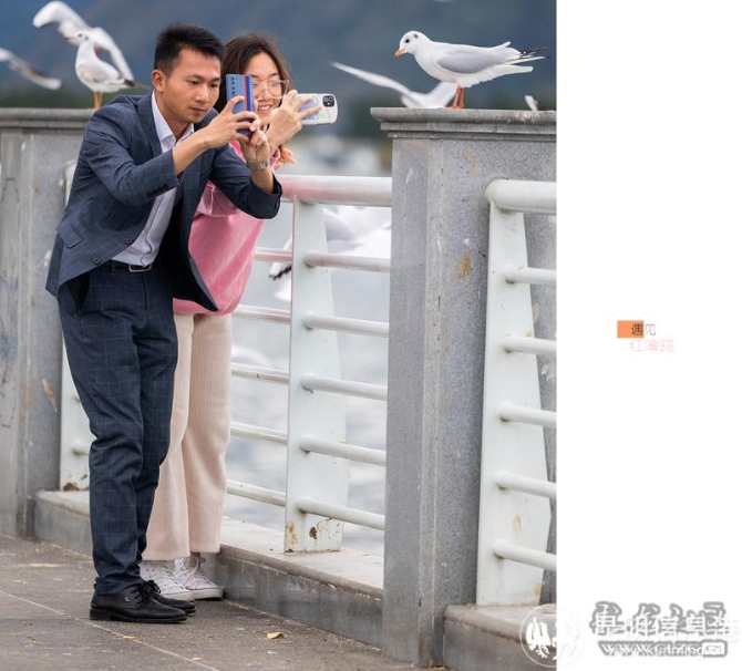 w3kk04m68v w3kk04m68v