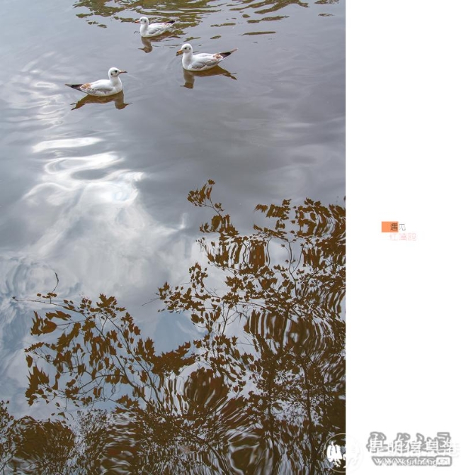 7irwfv6xt8g 7irwfv6xt8g