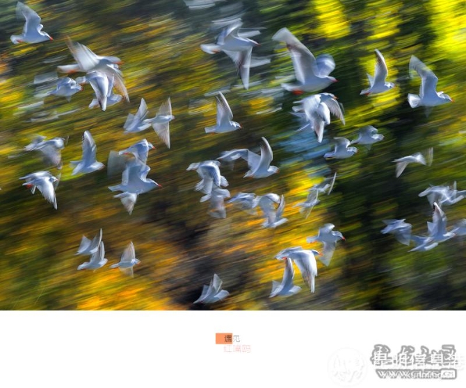 cmwzwztpecf cmwzwztpecf