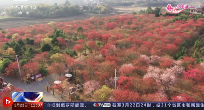 微信截圖_20220323151116