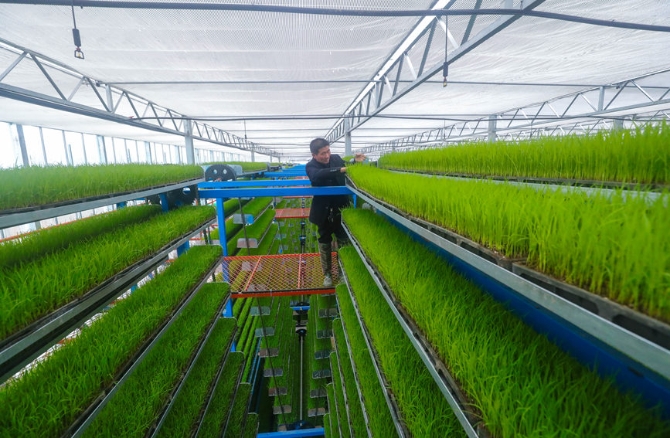 LOCAL202203221721000156219423707