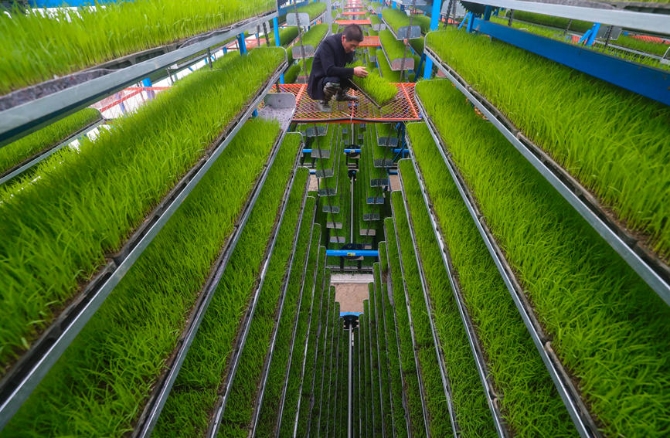 LOCAL202203221720000418440230232