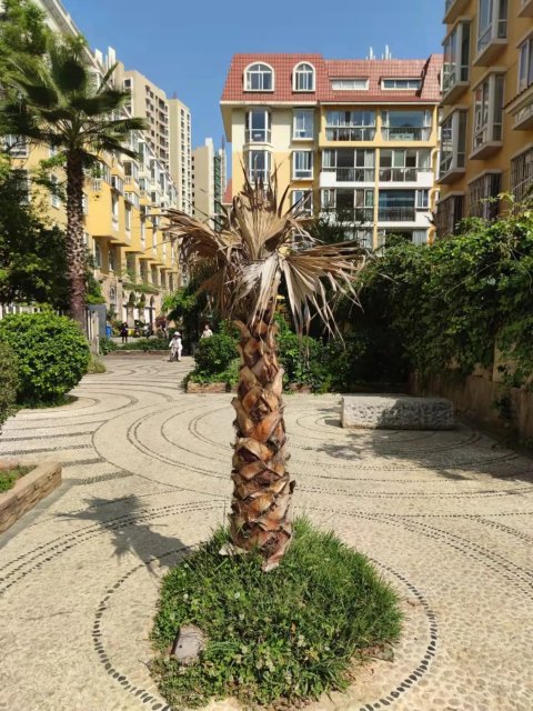 昆明同徽物業(yè)(圖據(jù)昆明日報)