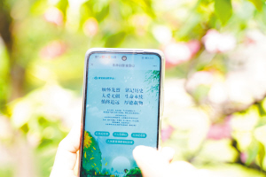 金寶山藝術(shù)園林推出網(wǎng)上公祭平臺(tái)。