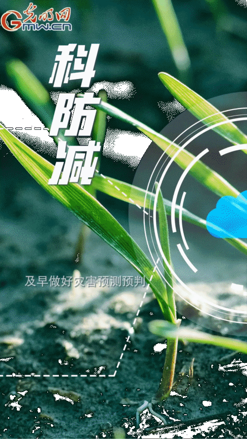 【“動”漫海報】打牢全年糧食豐收基礎 各地各部門多措并舉抓春耕 【“動”漫海報】打牢全年糧食豐收基礎 各地各部門多措并舉抓春耕