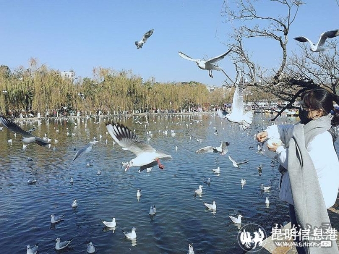 16478608296981241188987296725_19738 16478608296981241188987296725_19738