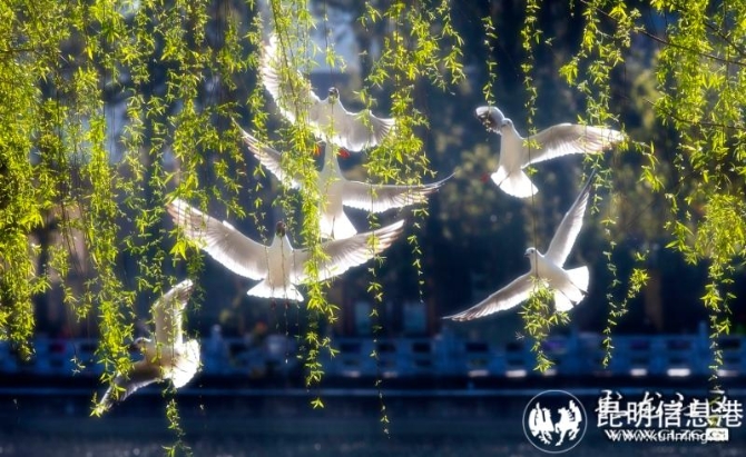 16478608298261033561322950187_19738 16478608298261033561322950187_19738