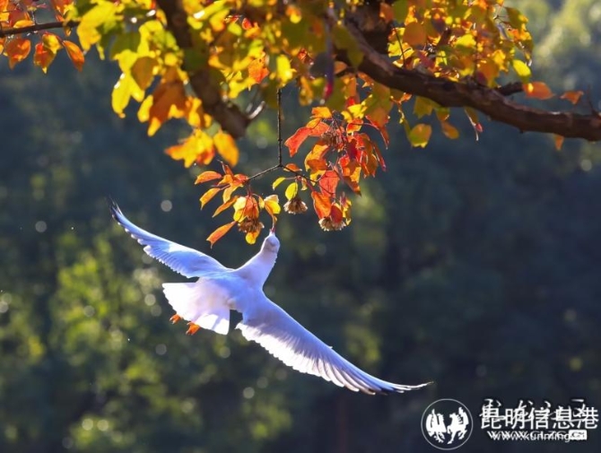 16478610606269449624454294435_19738 16478610606269449624454294435_19738