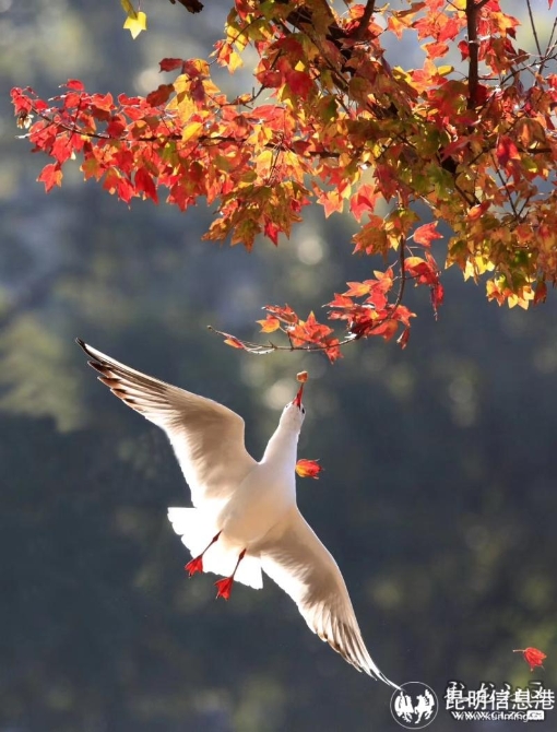 16479547488247449798566192478_19738 16479547488247449798566192478_19738