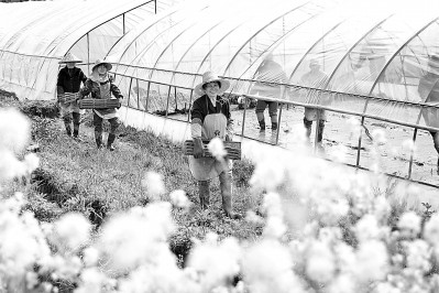 天地啟春色 萬物共“耕”新——全國(guó)春耕備耕狀況觀察