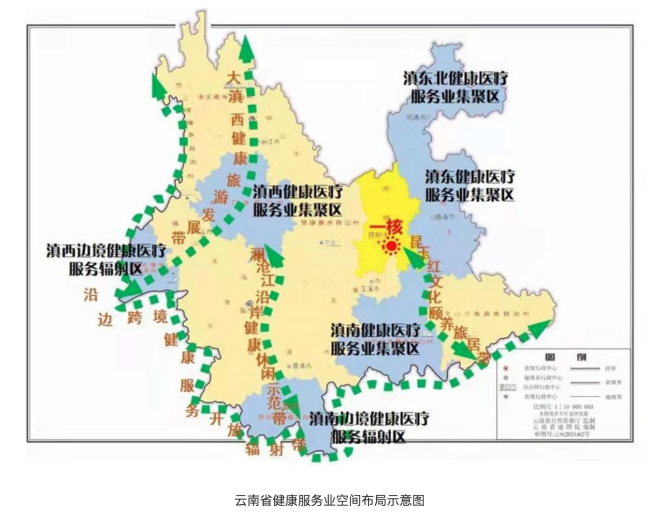 健康服務(wù)業(yè)