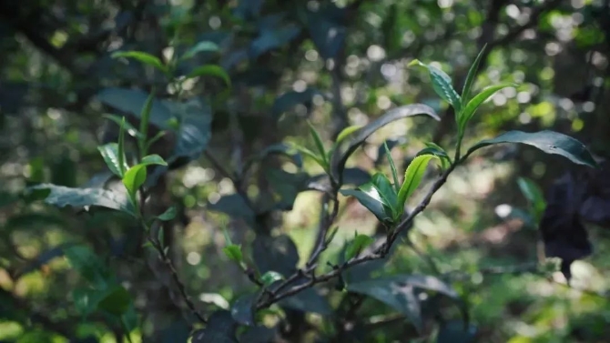 微信圖片_20220325131950.jpg 圖片