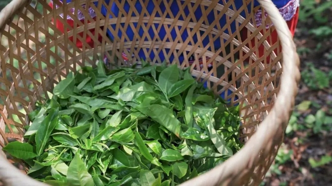 微信圖片_20220325132018.jpg 圖片