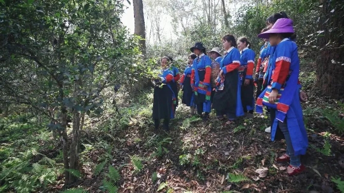 微信圖片_20220325132025.jpg 圖片