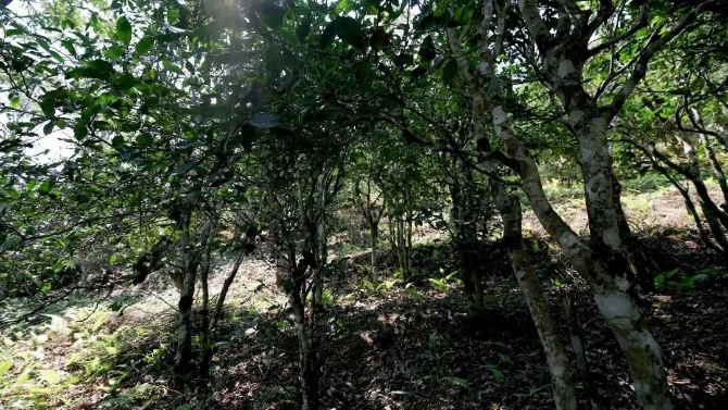 微信圖片_20220325132750.jpg 圖片