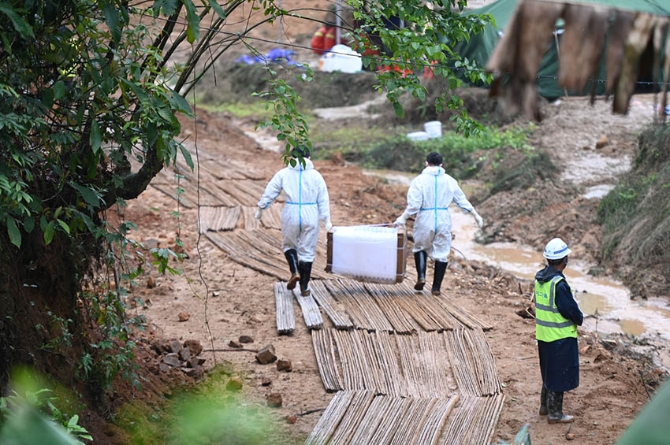 LOCAL202203251224000330145962824 LOCAL202203251224000330145962824