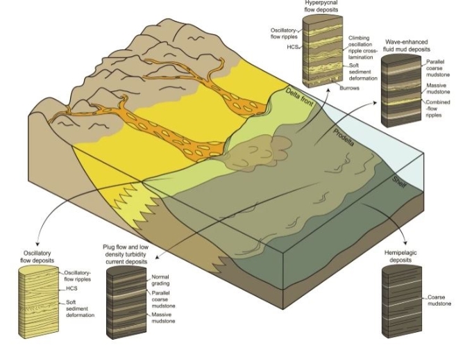 研究揭示：澄江生物群生活在三角洲 云南大學(xué)官網(wǎng)