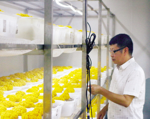 97561648402227881 97561648402227881