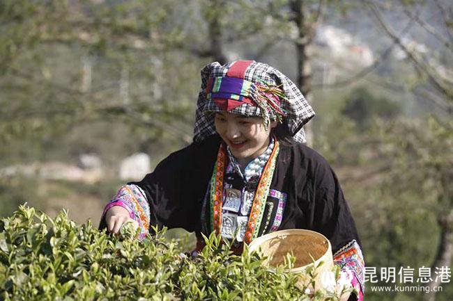 微信圖片_20220328100605 微信圖片_20220328100605