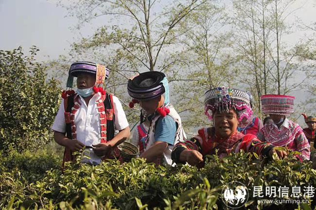 微信圖片_20220328100610 微信圖片_20220328100610