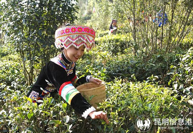 微信圖片_20220328100613 微信圖片_20220328100613