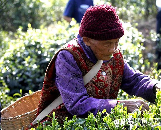 微信圖片_20220328100616 微信圖片_20220328100616