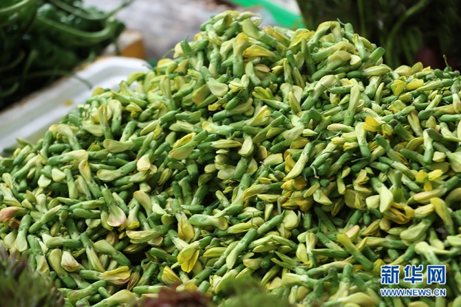 1310527846_16481137304981n