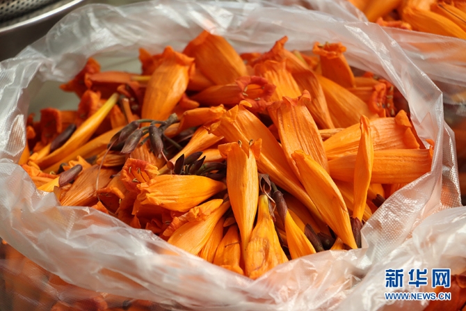 1310527846_16481137306301n