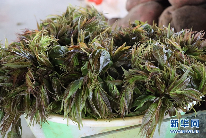 1310527846_16481137312531n