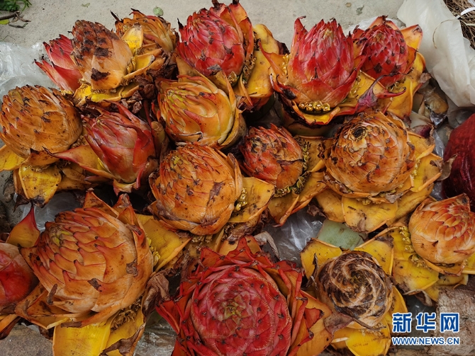 1310527846_16481137303381n